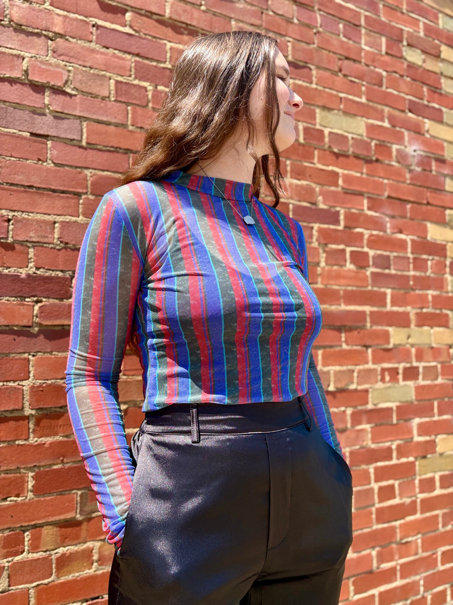 RETRO STRIPE PRINTED LONG SLEEVE MESH TOP