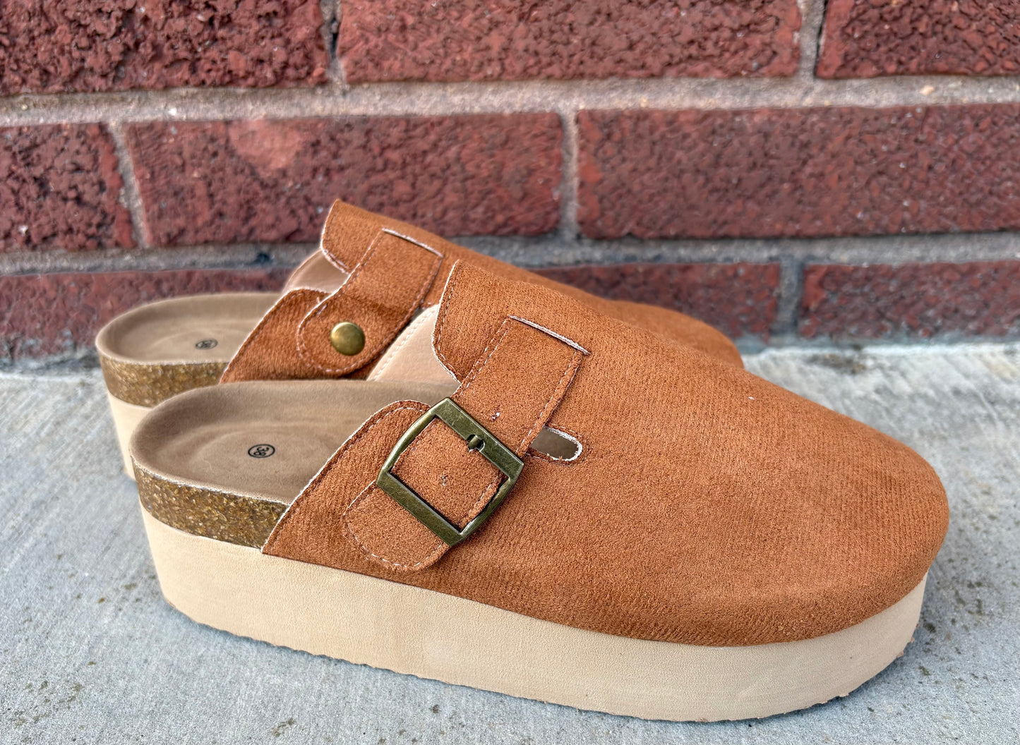 Mesa Mules