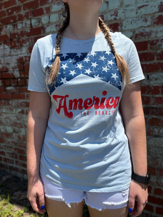 AMERICA MINERAL GRAPHIC TEE